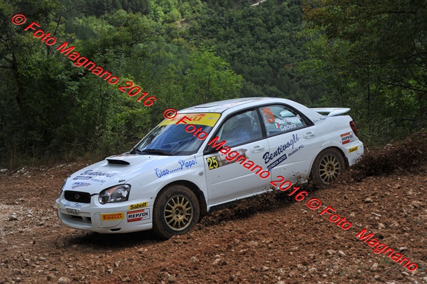 DSC_5917.JPG
